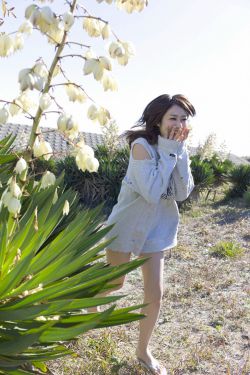 名欲场在线观看